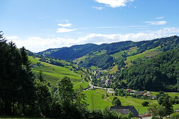 Sommer im Münstertal