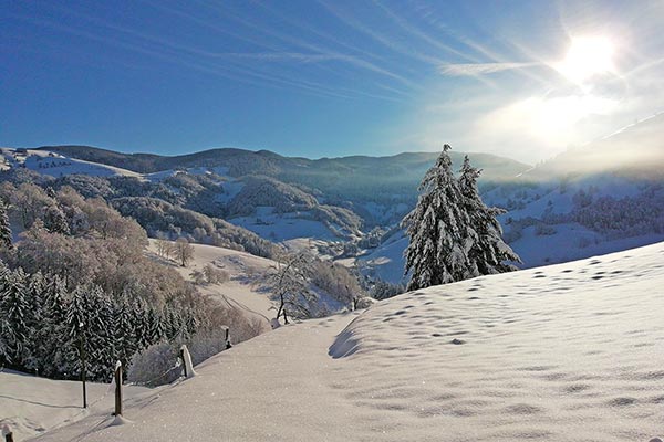 Das Münstertal im Winter