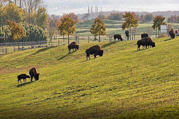 Tiergehege Mundenhof bei Freiburg